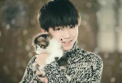 吃瓜娱乐王俊凯张翰,吃瓜娱乐界新篇章