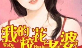 娱乐吃瓜老婆小说