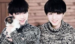 吃瓜娱乐王俊凯张翰,吃瓜娱乐界新篇章