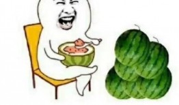 娱乐圈吃瓜去哪吃,揭秘明星们的私藏美食天堂