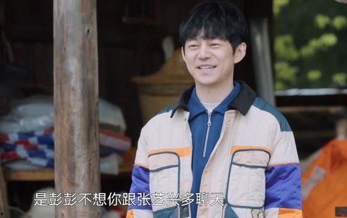 娱乐吃瓜黄磊,娱乐圈的“吃瓜群众”