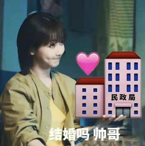 娱乐吃瓜君顶流,顶流明星背后的故事与真相