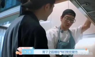 娱乐圈吃瓜少年,揭秘明星幕后故事